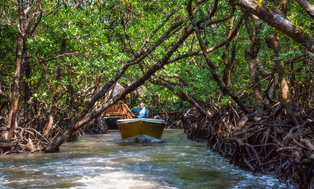 Kerala Mystic Tour